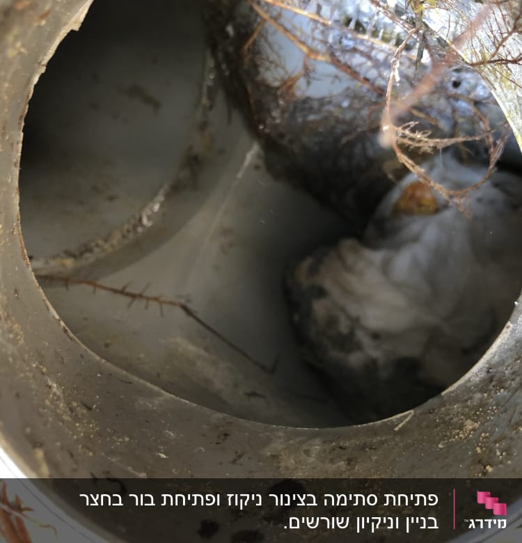 צינור סתום עם שורשים ולכלוך